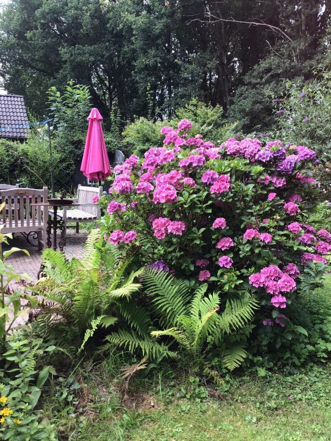 Blauwe Lelie Villa Ewijk Eksteriør billede