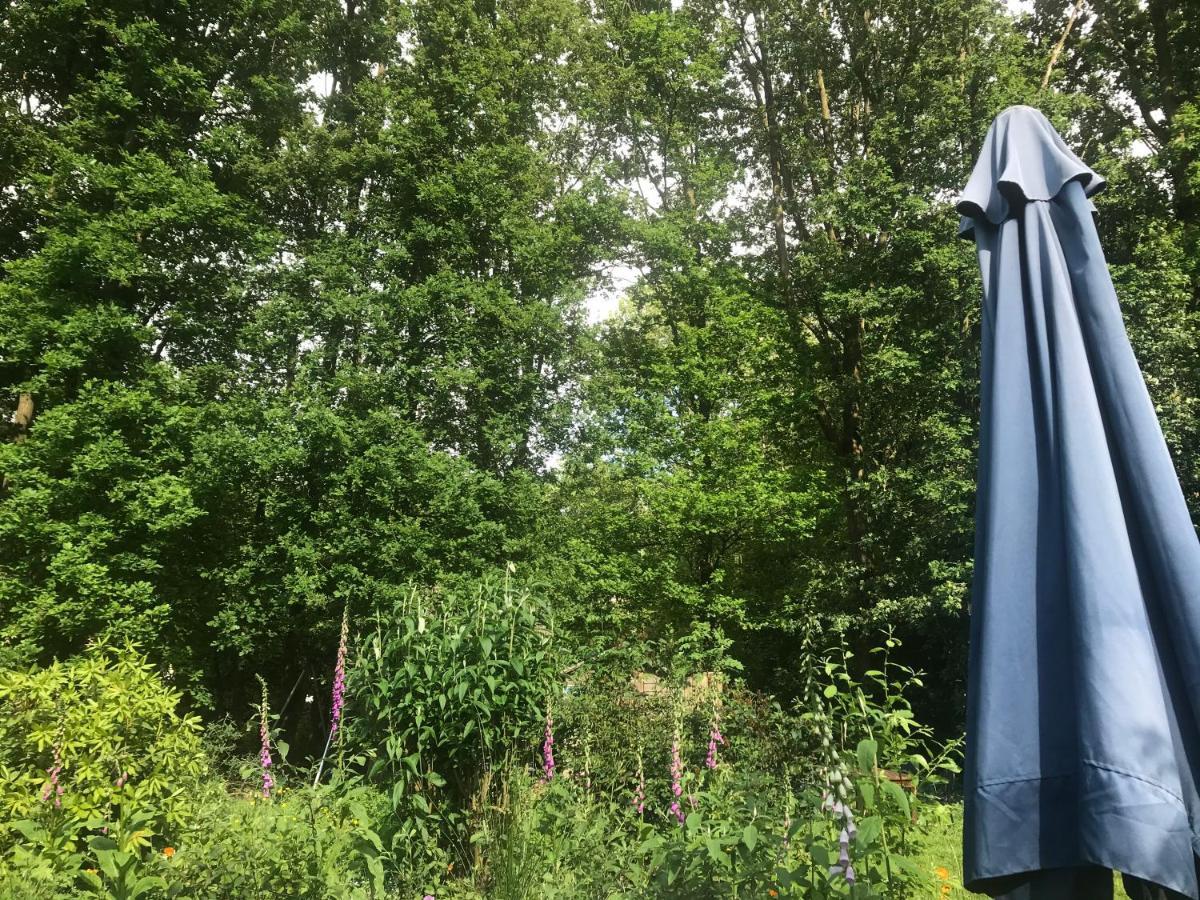Blauwe Lelie Villa Ewijk Eksteriør billede